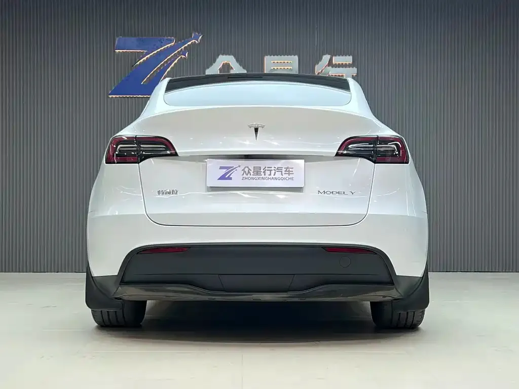 Tesla Model Y 2024 из CN, фото 2