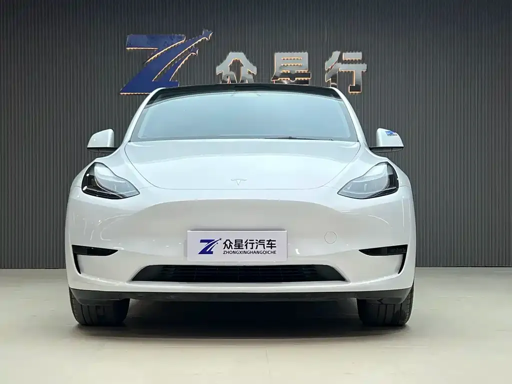 Tesla Model Y 2024 из CN, фото 7