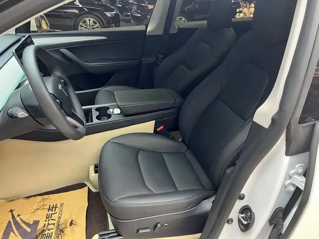 Tesla Model Y 2024 из CN, фото 6