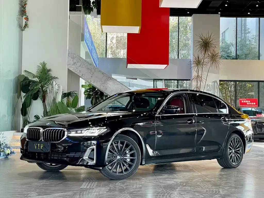 BMW 5 Series 2022 из CN, фото 1