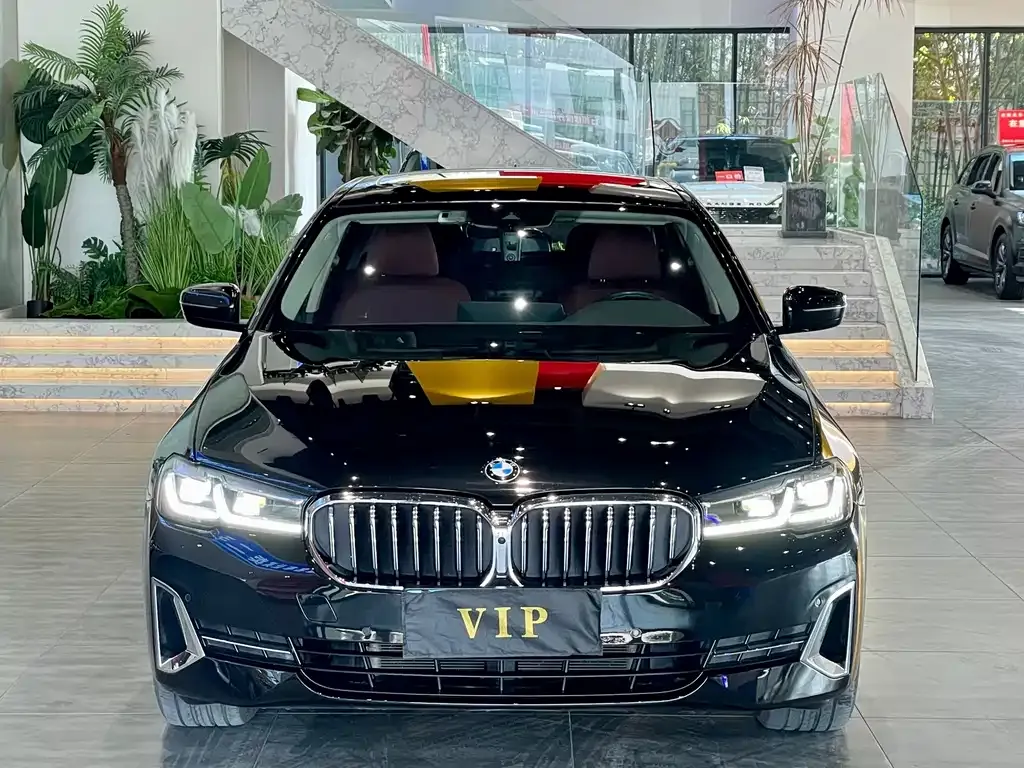 BMW 5 Series 2022 из CN, фото 9