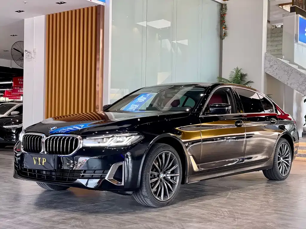 BMW 5 Series 2022 из CN, фото 3