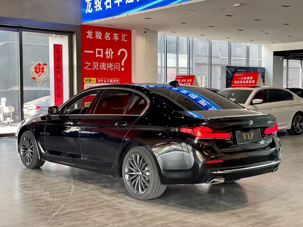 BMW 5 Series 2022 из CN, фото 5