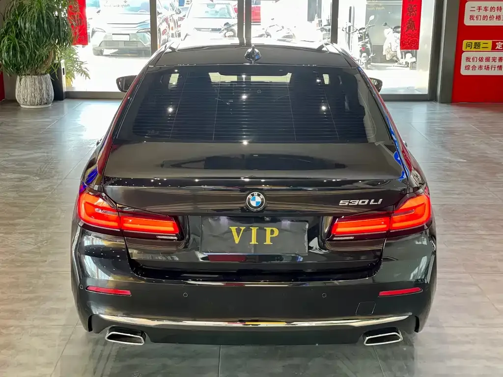 BMW 5 Series 2022 из CN, фото 10