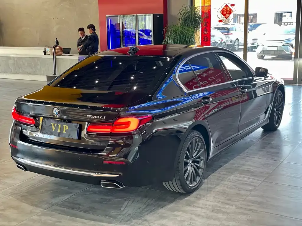 BMW 5 Series 2022 из CN, фото 8