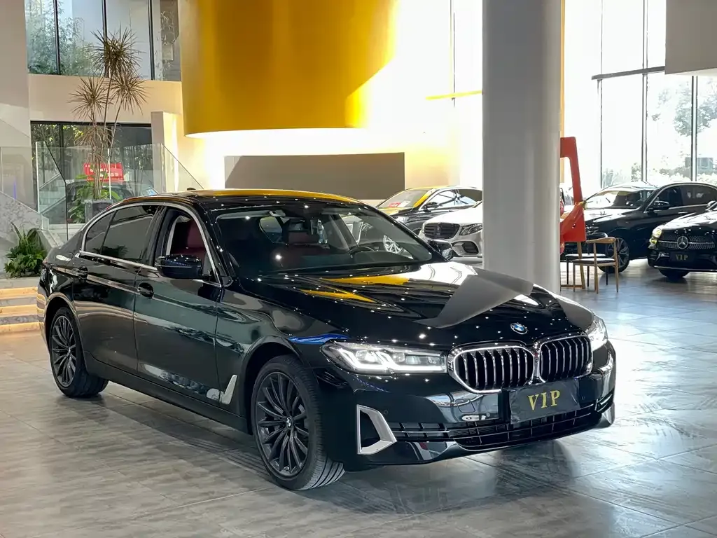 BMW 5 Series 2022 из CN, фото 6