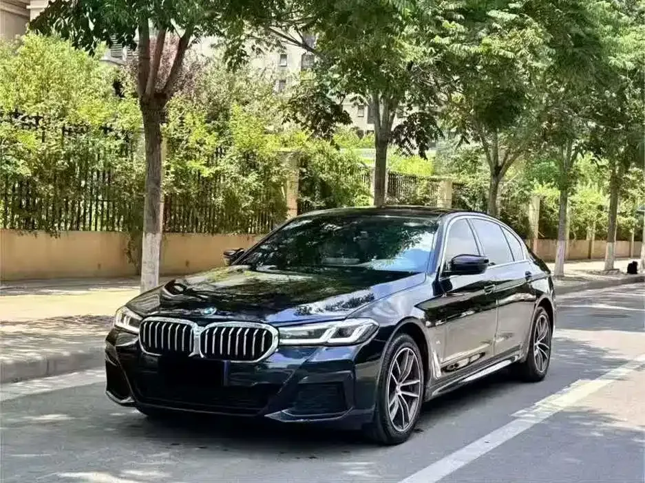 BMW 5 Series 2022 из CN, фото 8