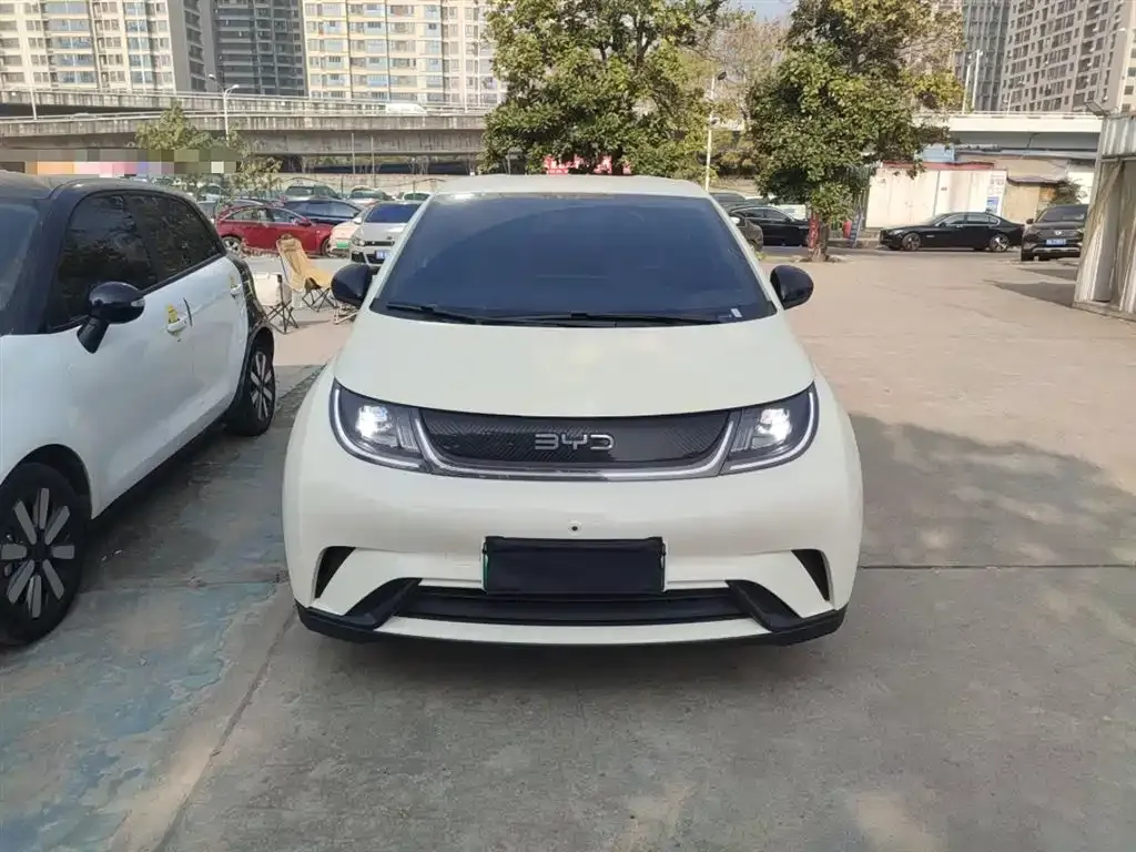 [object Object] Dolphin 2025 из CN, фото 3