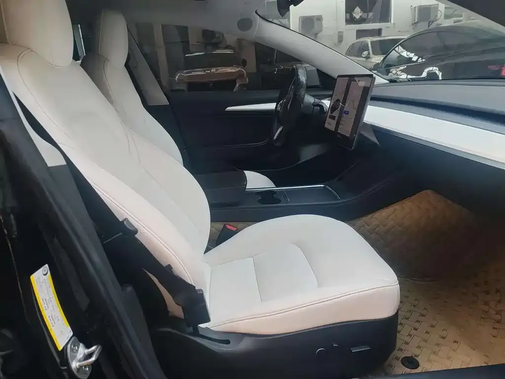 Tesla Model 3 2021 из CN, фото 2