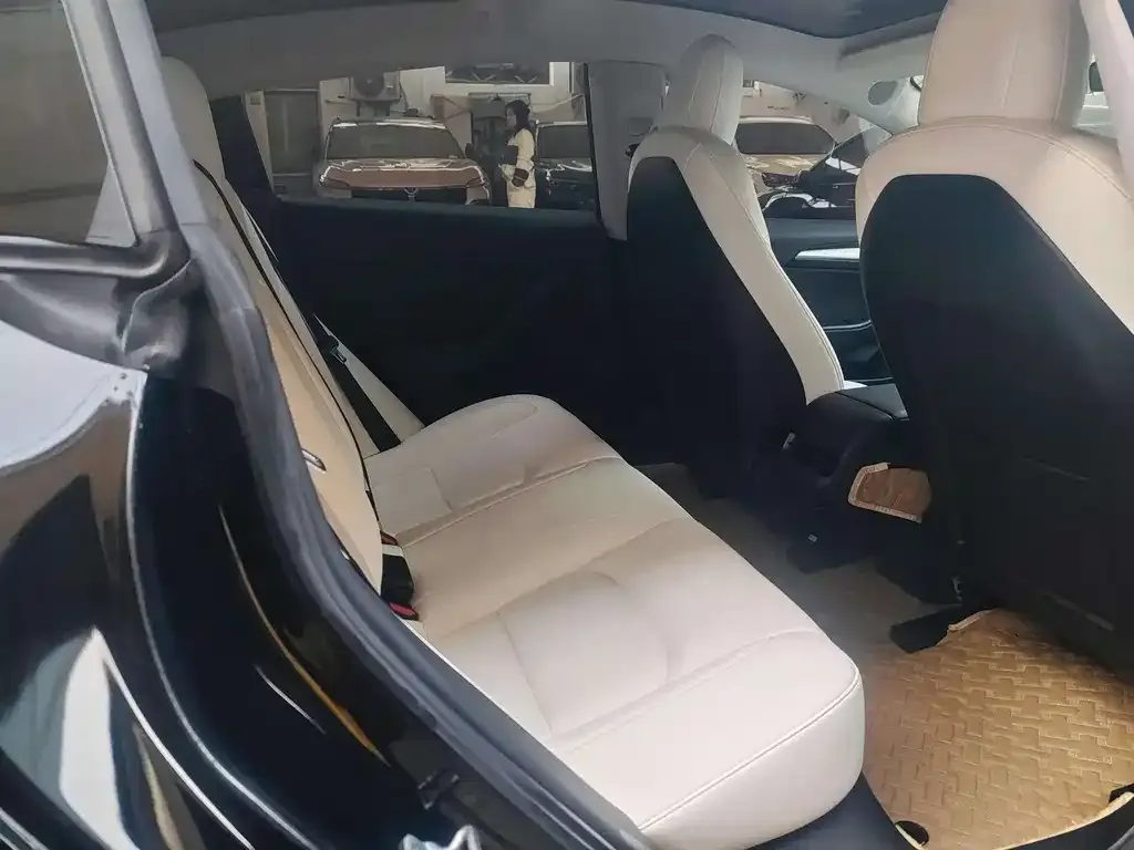 Tesla Model 3 2021 из CN, фото 7