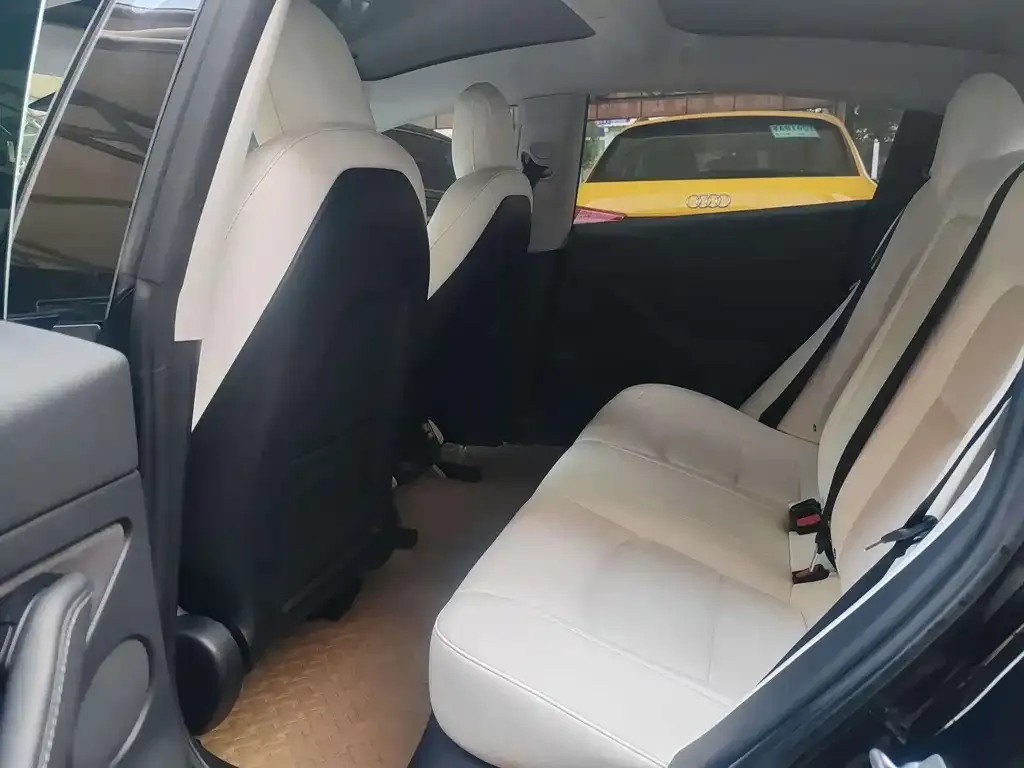 Tesla Model 3 2021 из CN, фото 6