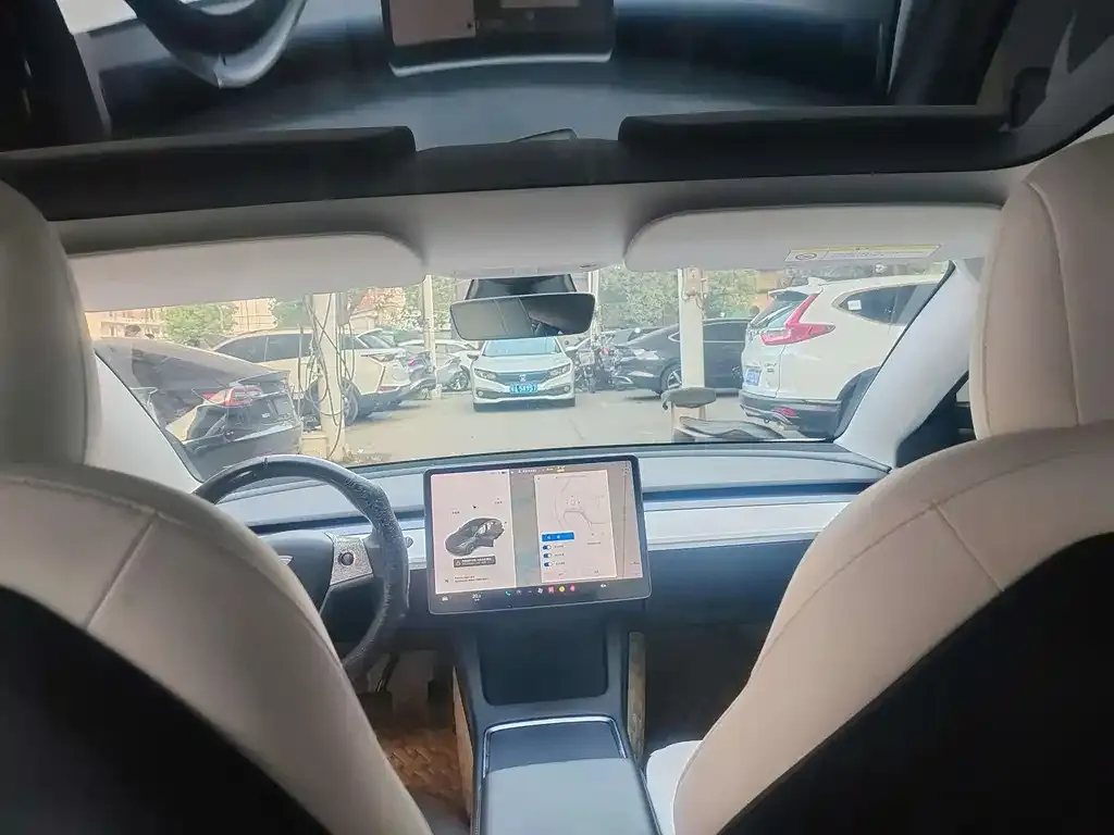 Tesla Model 3 2021 из CN, фото 9