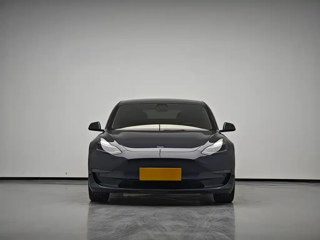 Tesla Model 3 2021 из CN, фото 2