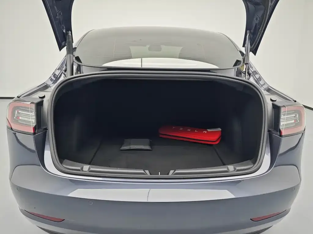 Tesla Model 3 2021 из CN, фото 4