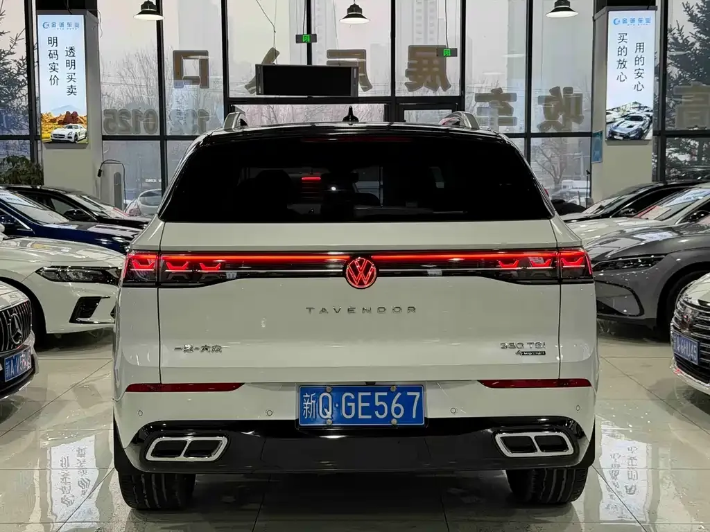 Volkswagen Tavendor 2023 из CN, фото 8