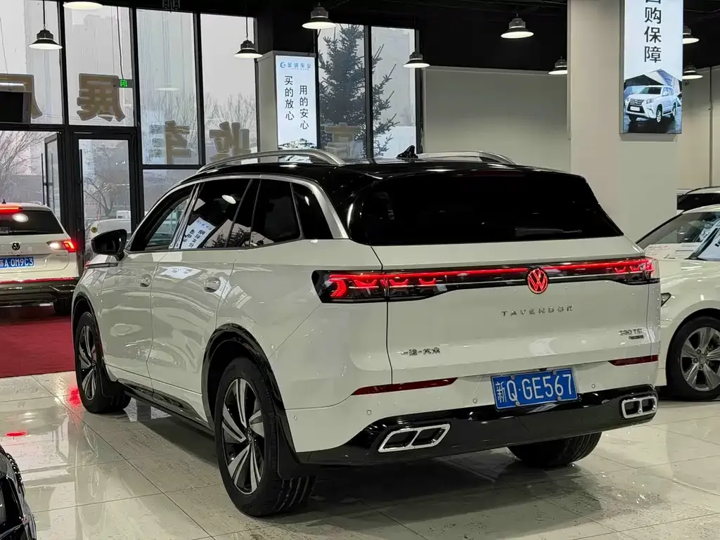 Volkswagen Tavendor 2023 из CN, фото 5