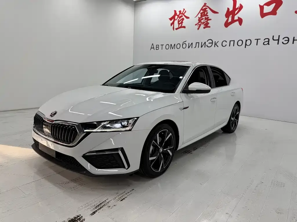 Skoda Octavia 2023 из CN, фото 1