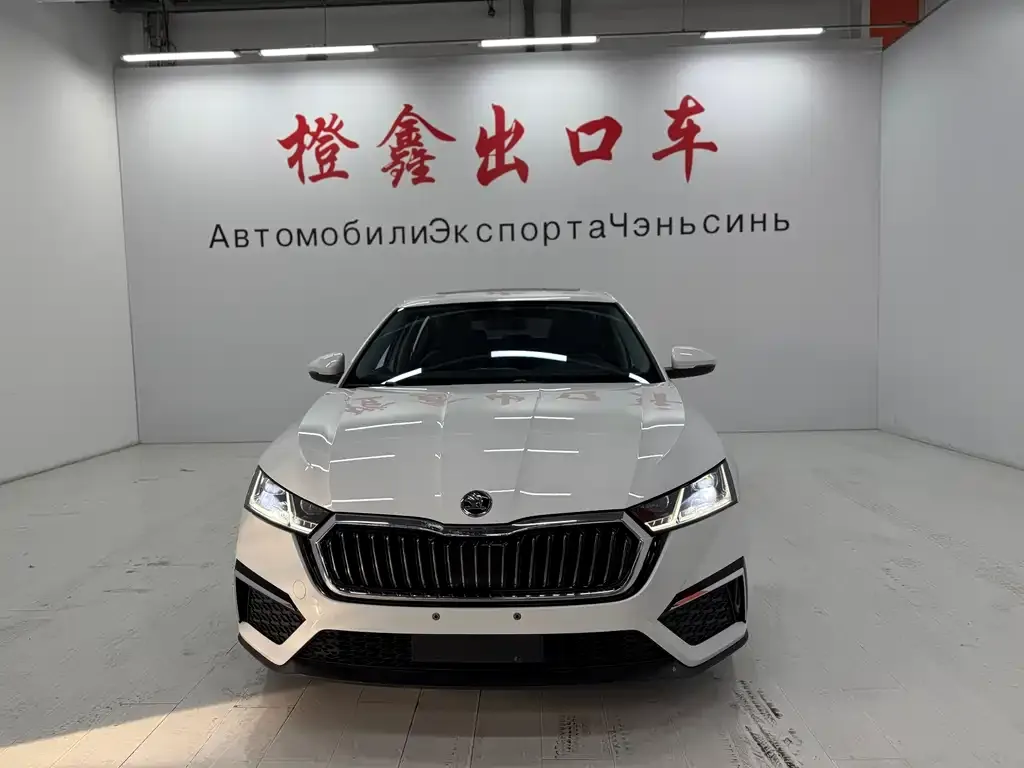 Skoda Octavia 2023 из CN, фото 10