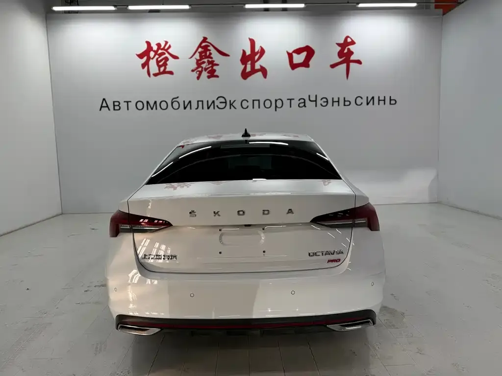 Skoda Octavia 2023 из CN, фото 3