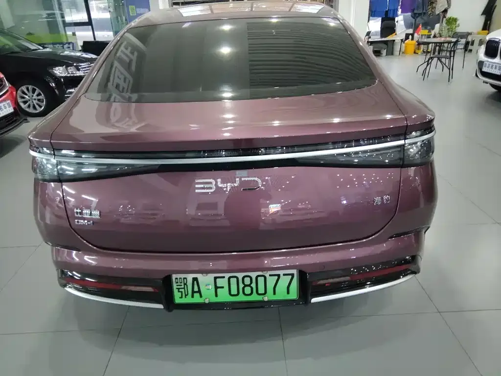 BYD Seal 2023 из CN, фото 6