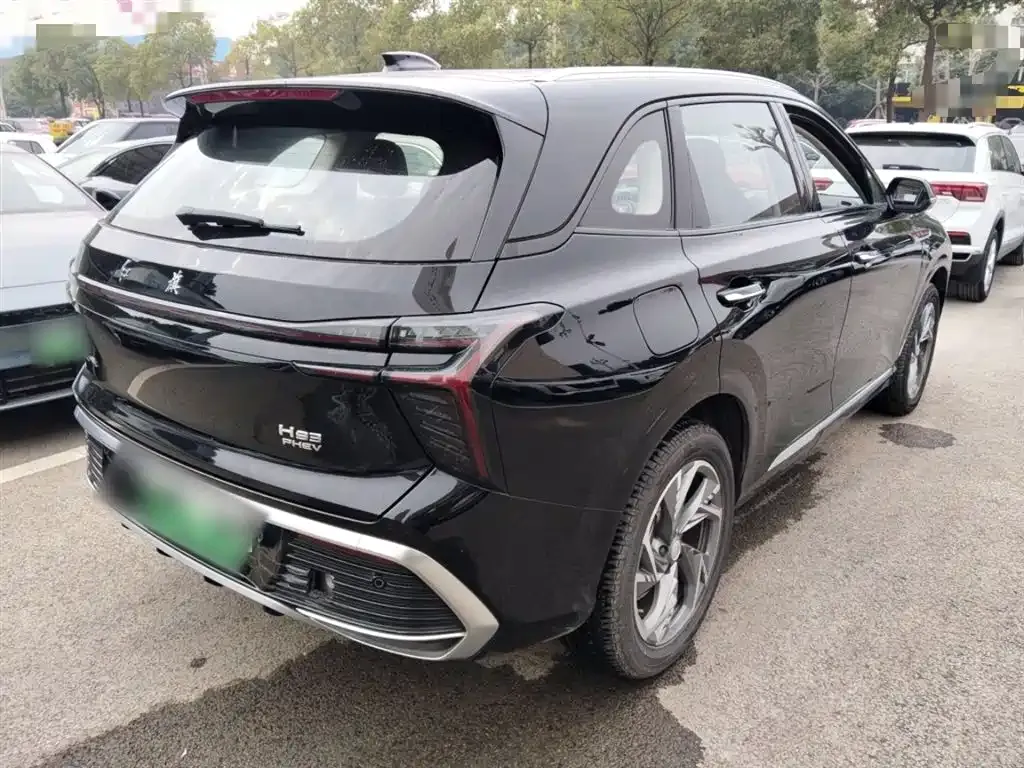 Hongqi HS3 PHEV 2024 из CN, фото 7
