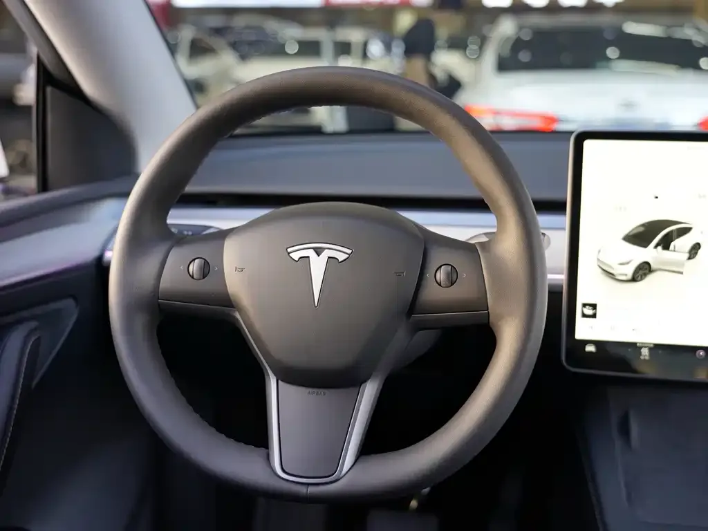 Tesla Model Y 2024 из CN, фото 4