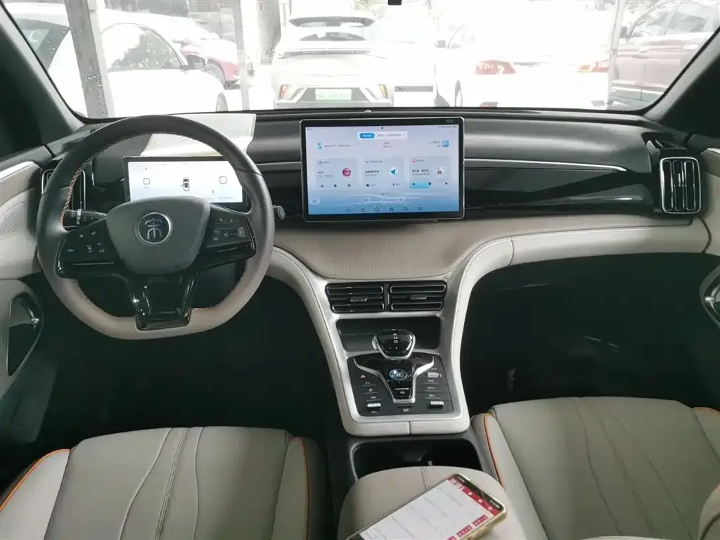 BYD Pro New Energy 2024 из CN, фото 10