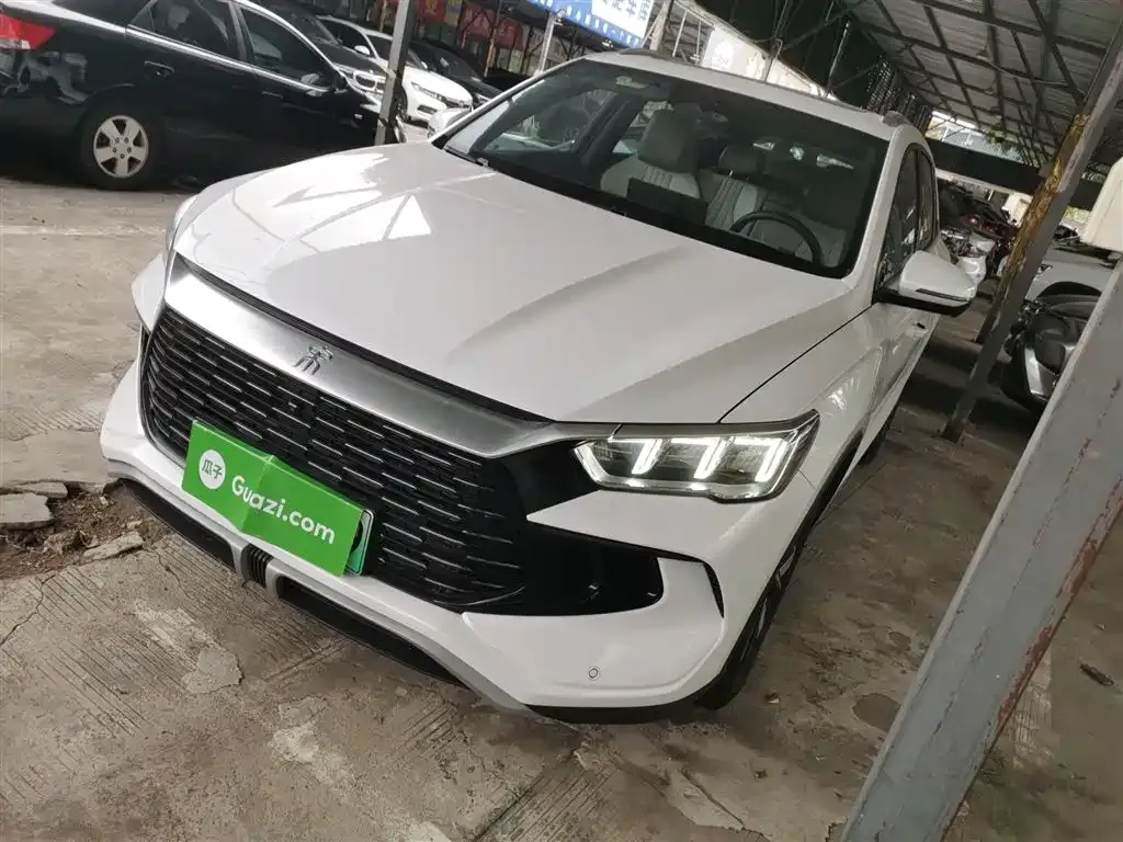 BYD Pro New Energy 2024 из CN, фото 2