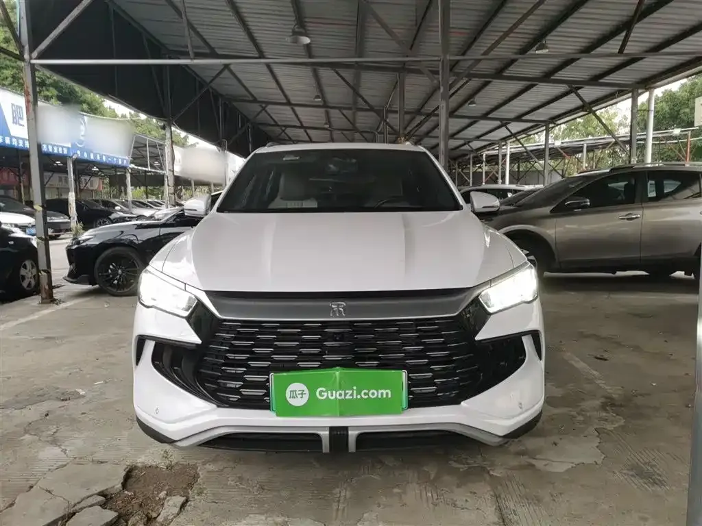 BYD Pro New Energy 2024 из CN, фото 3