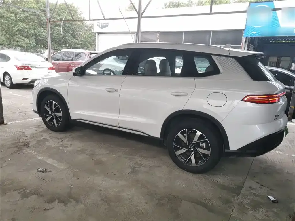 BYD Pro New Energy 2024 из CN, фото 5