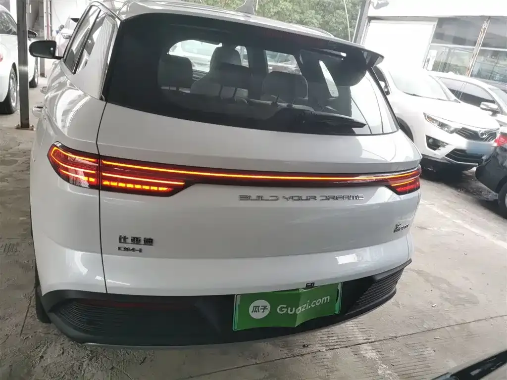 BYD Pro New Energy 2024 из CN, фото 6