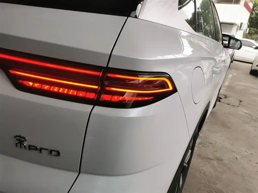 BYD Pro New Energy 2024 из CN, фото 8