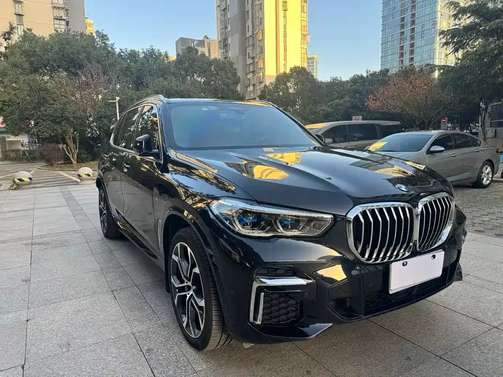 BMW X5 2023 из CN, фото 6