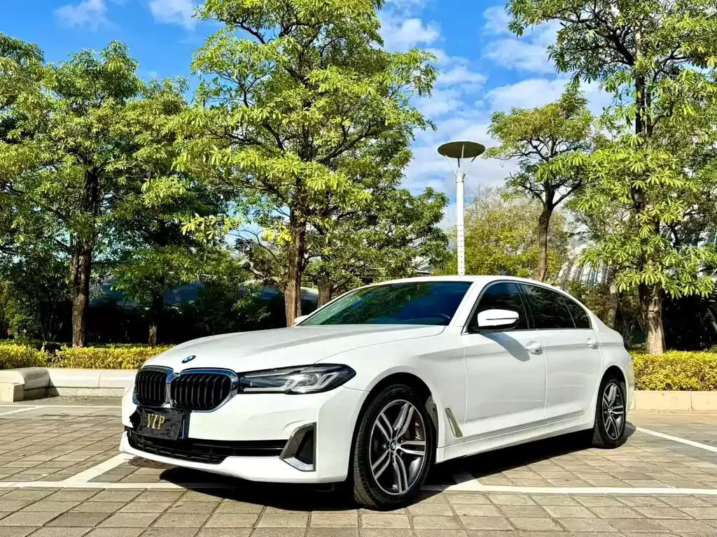 BMW 5 Series 2021 из CN, фото 1