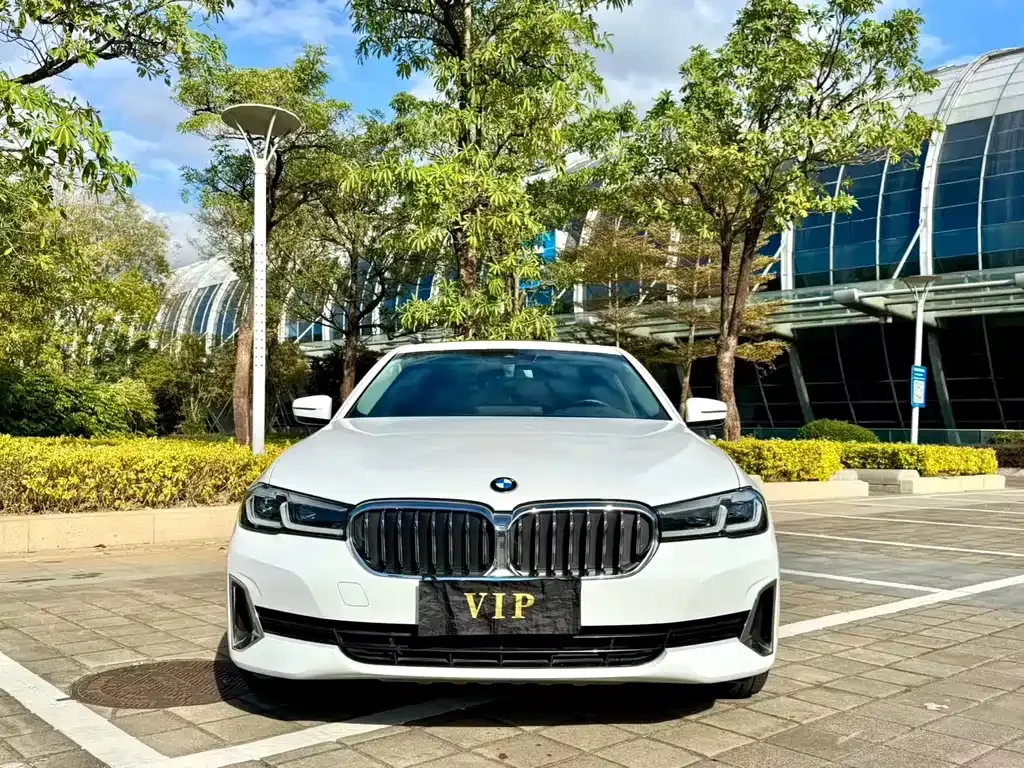 BMW 5 Series 2021 из CN, фото 9