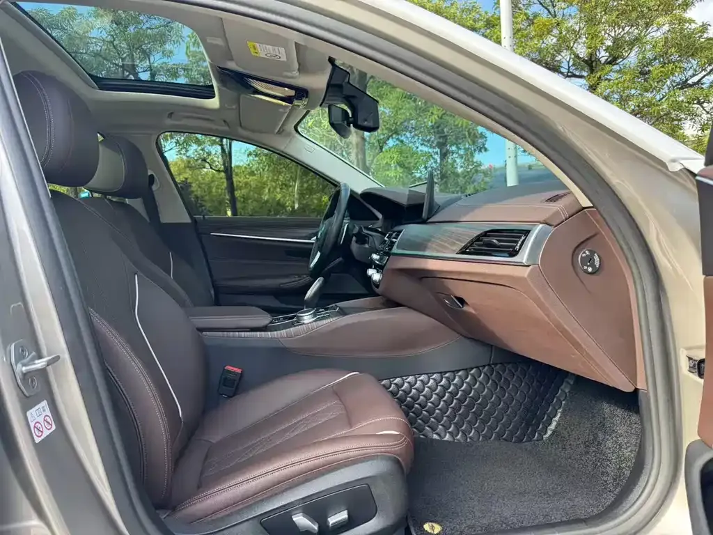 BMW 5 Series 2021 из CN, фото 2