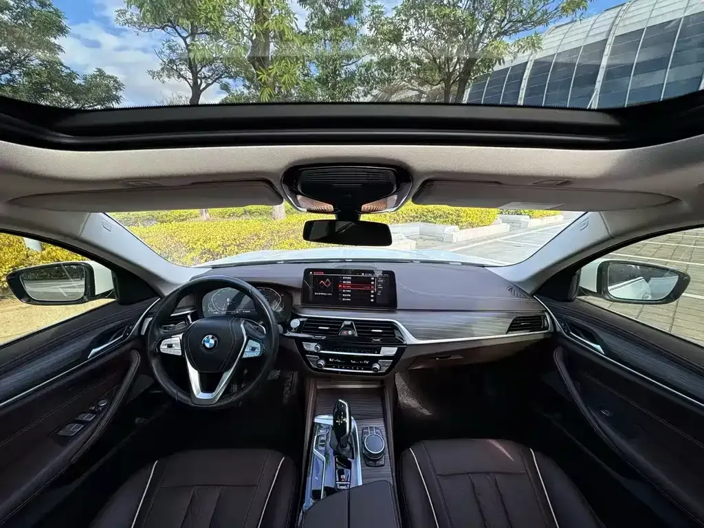 BMW 5 Series 2021 из CN, фото 5
