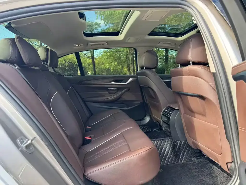 BMW 5 Series 2021 из CN, фото 3