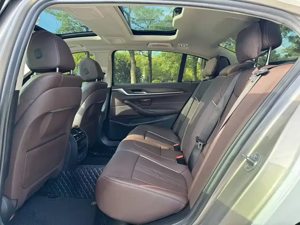 BMW 5 Series 2021 из CN, фото 4