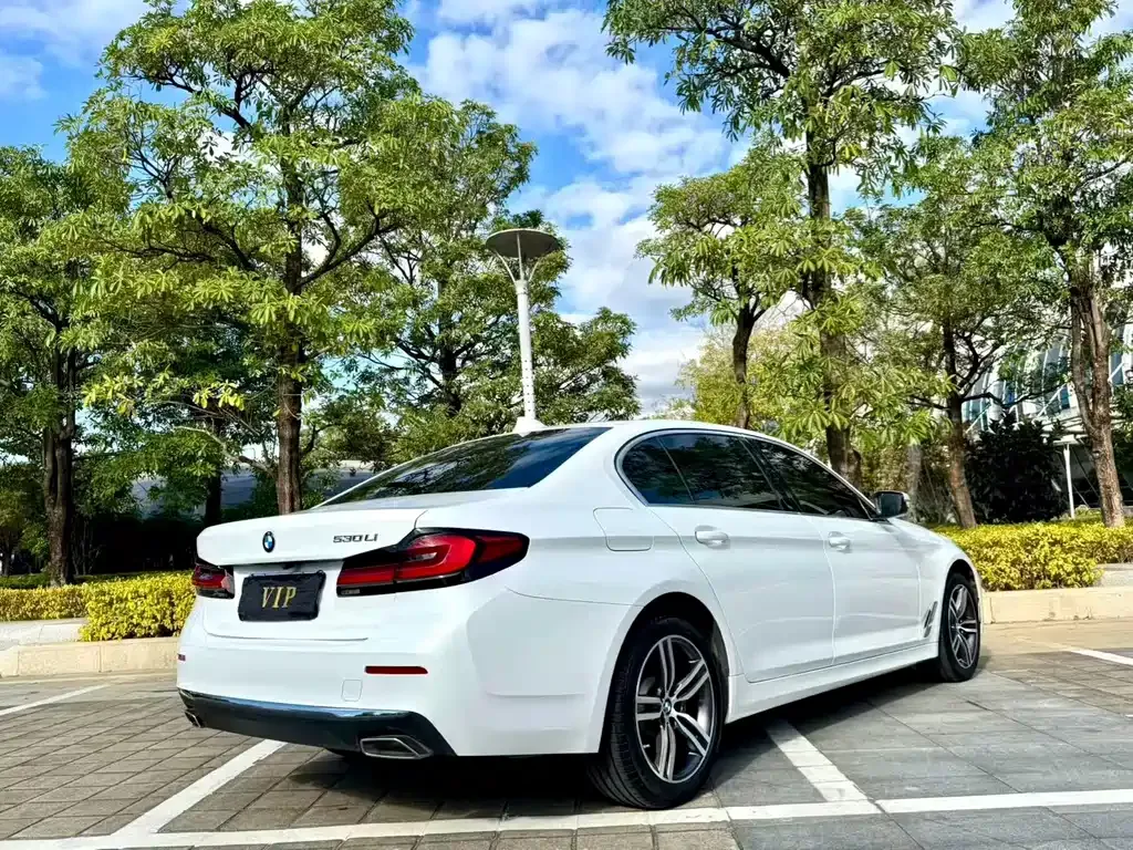 BMW 5 Series 2021 из CN, фото 7