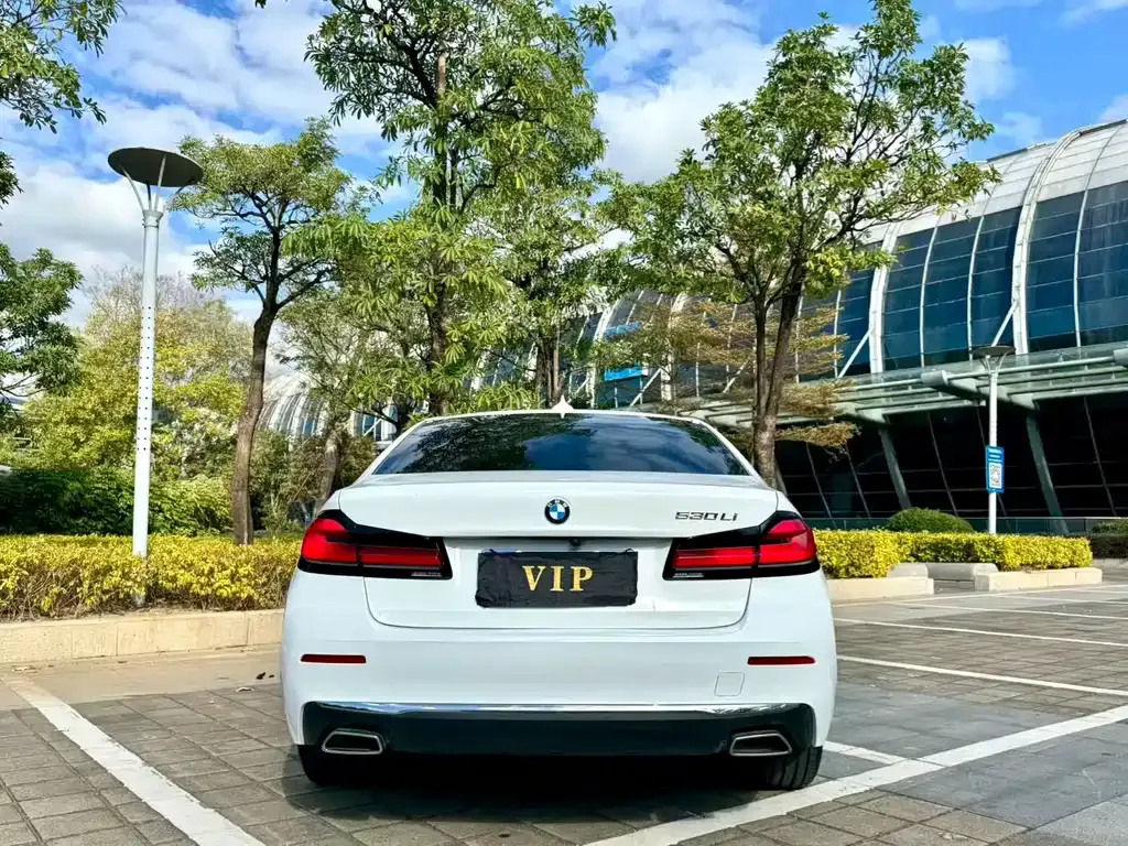 BMW 5 Series 2021 из CN, фото 8