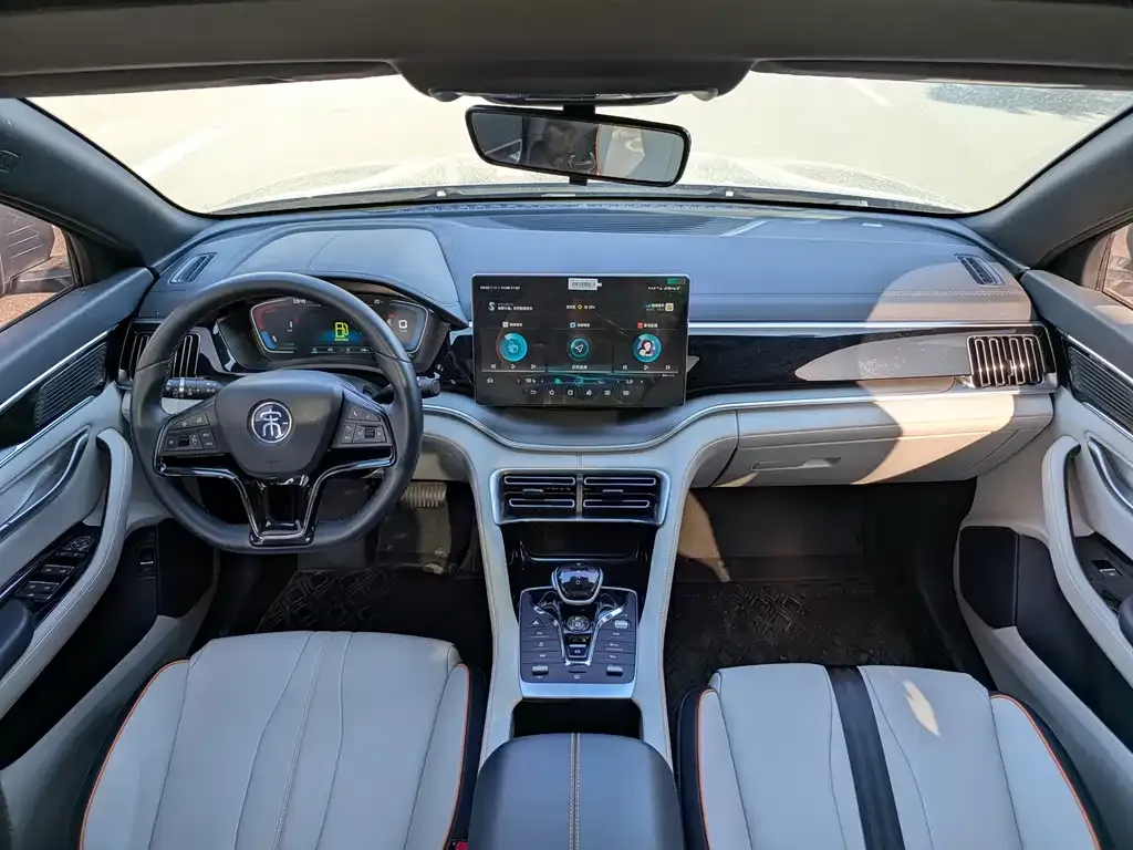 BYD PLUS New Energy 2023 из CN, фото 6