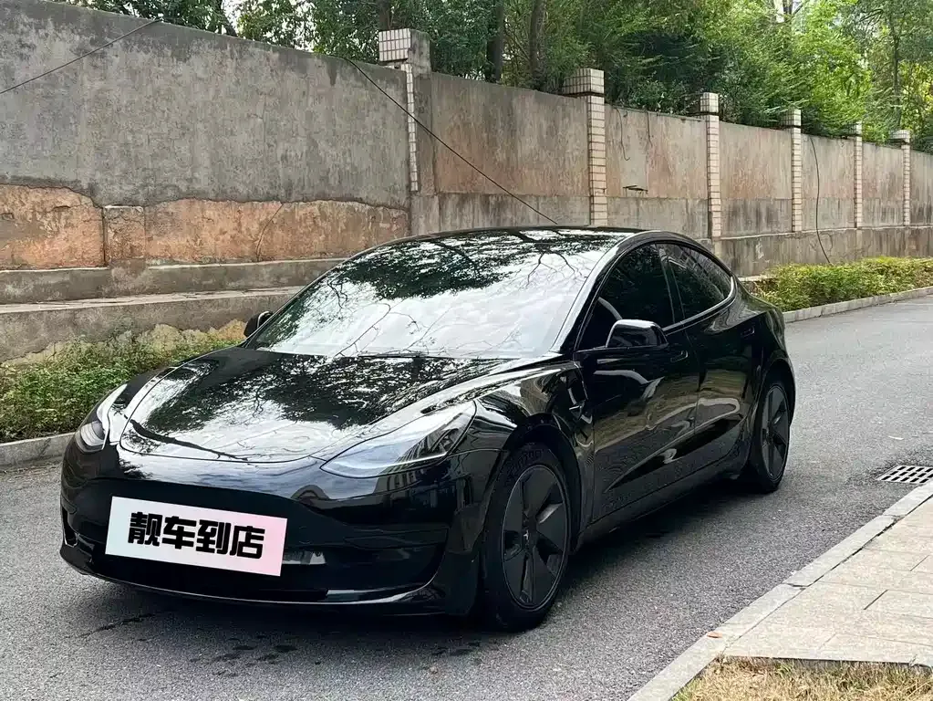 Tesla Model 3 2021 из CN, фото 1
