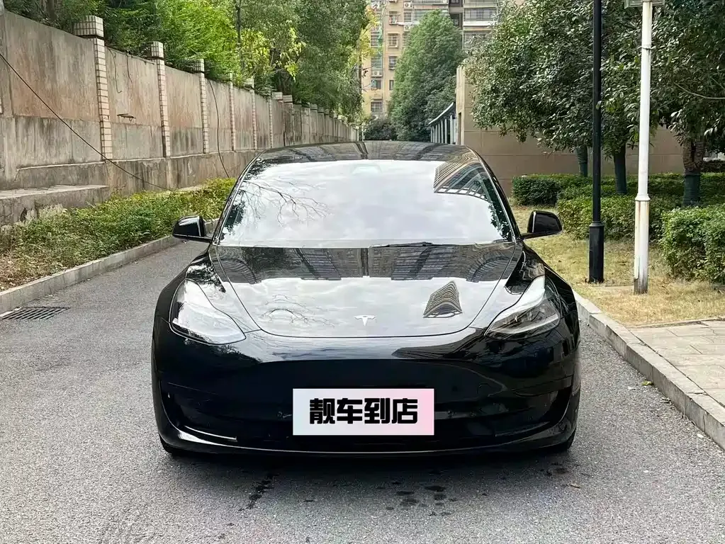 Tesla Model 3 2021 из CN, фото 4