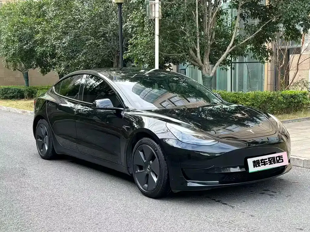 Tesla Model 3 2021 из CN, фото 9
