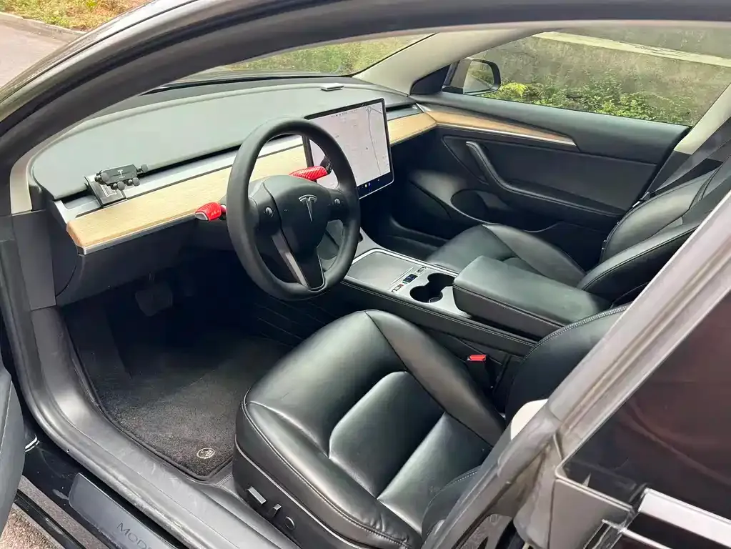 Tesla Model 3 2021 из CN, фото 7