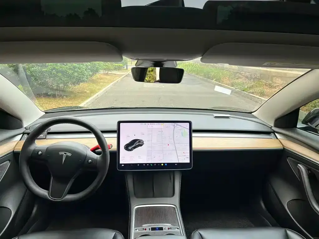 Tesla Model 3 2021 из CN, фото 3