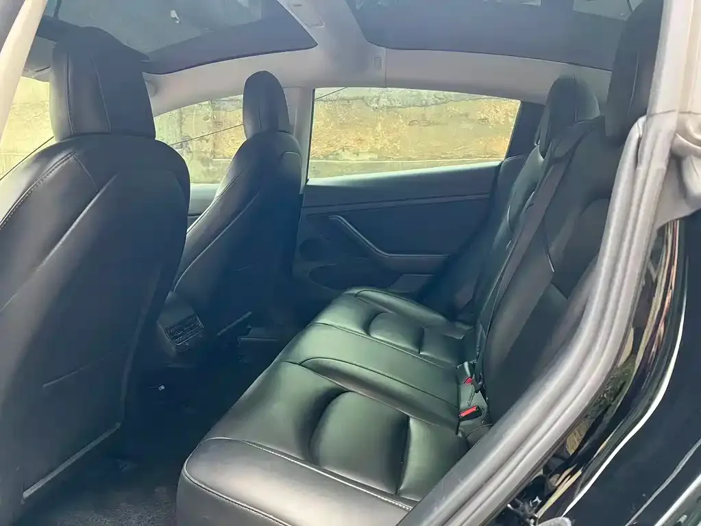 Tesla Model 3 2021 из CN, фото 2