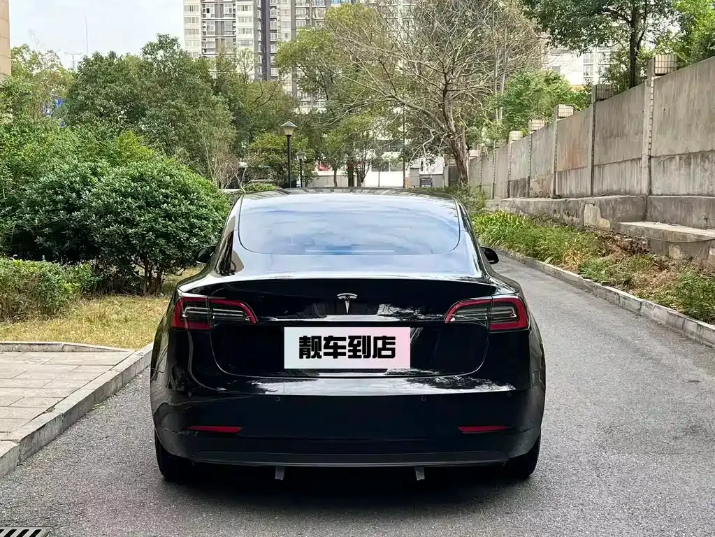 Tesla Model 3 2021 из CN, фото 6