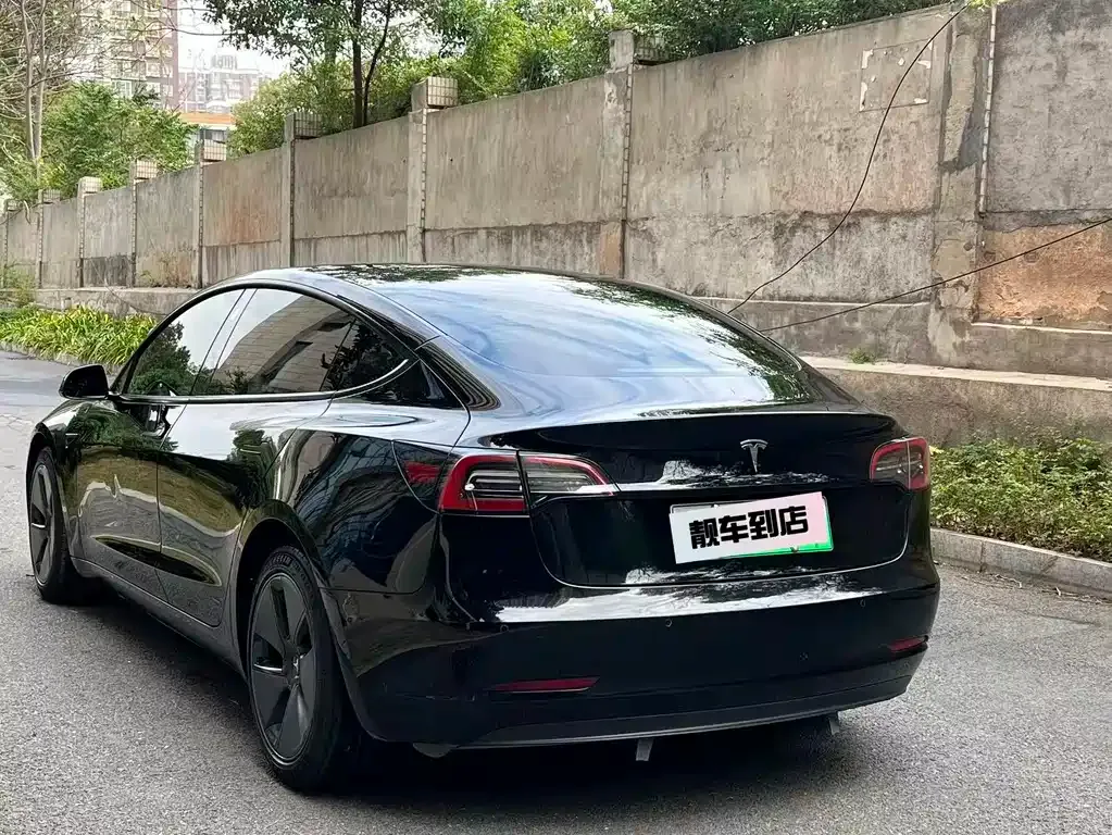 Tesla Model 3 2021 из CN, фото 5